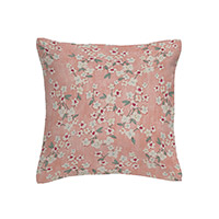 Alyssum cushion - Coral