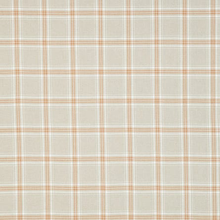 Roman Fabric Pattern