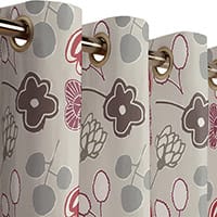 Sterio curtain - Raspberry