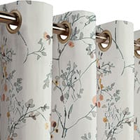 Bramwell curtain - Earth