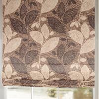 Dino roman - New natural