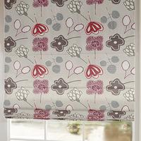 Sterio roman - Raspberry